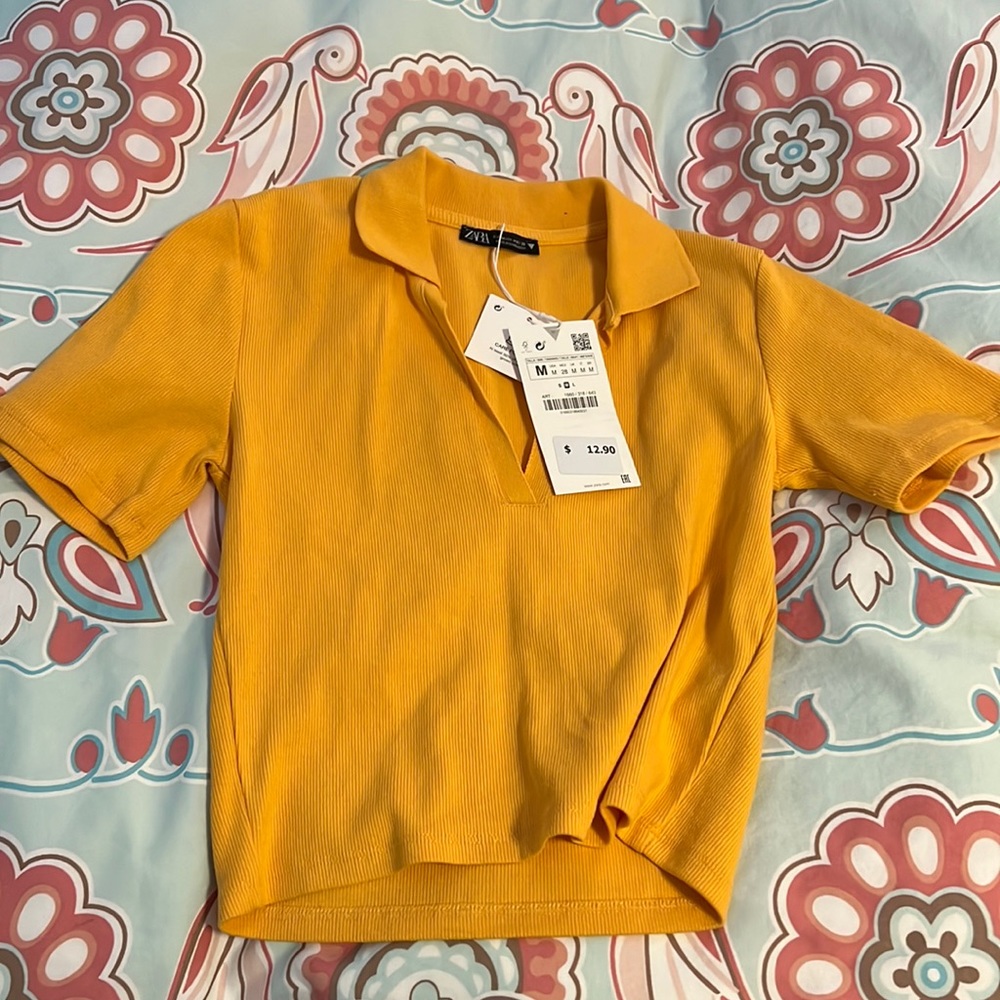 Zara Cropped Collared Baby Tee